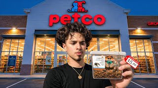 I Bought Another Petco Viral Desk Pet...