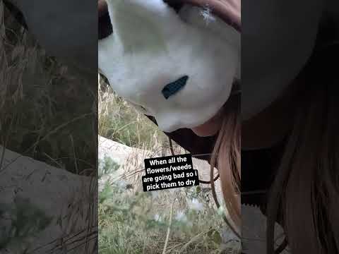 also mushroom lol #therian #viral # mask #cringe