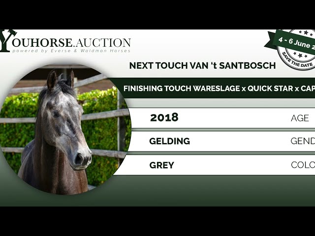 Next Touch van 't Santbosch