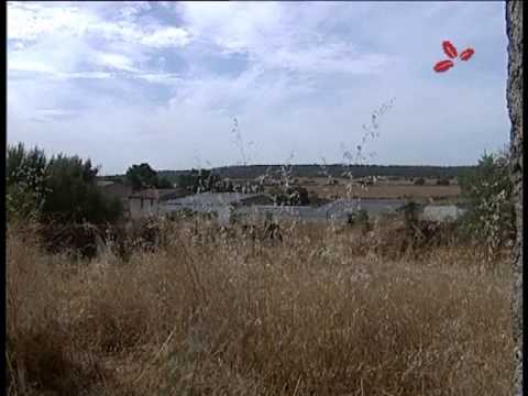 Un paseo por Piedras Albas