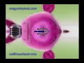 Klasky Klasky Klasky Klasky Gummy Bear Song In G Major 115