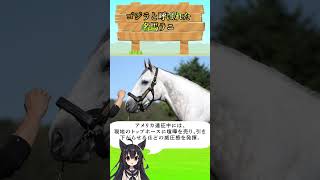 アメリカで「ゴジラ」と呼ばれた伝説の名馬ラニ#名馬 #競馬 #伝説 #ドバイ