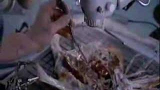 Manticora - Swarm Attack(Alien Cutscenes)