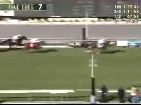 Presious Passion- Time of Our Lives