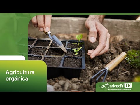AGRICULTURA ORGÁNICA EN 2 MINUTOS