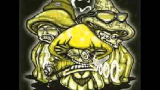 Crystal River- Mudcrutch