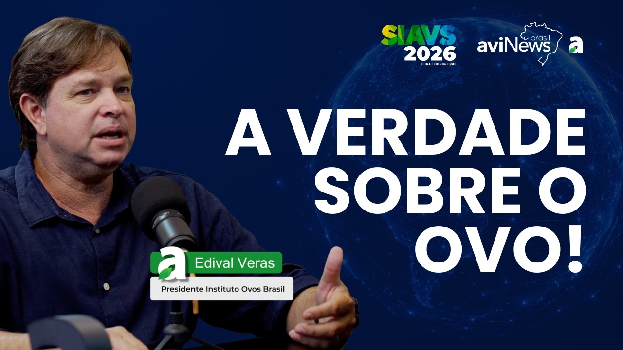 De 110 para 310 ovos por pessoa: o trabalho que transformou o consumo no Brasil