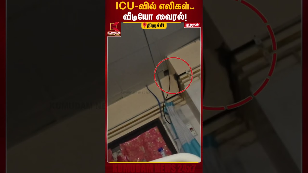 திருச்சி அரசு மருத்துவமனையில் மீண்டும் எலி சர்ச்சை! ICU வீடியோ பரபரப்பு | Trichy GH Rat Video