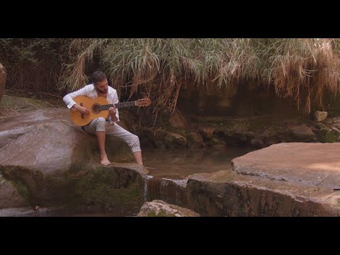 El Sebas de la Calle - Camino, Camino (Videoclip Oficial)