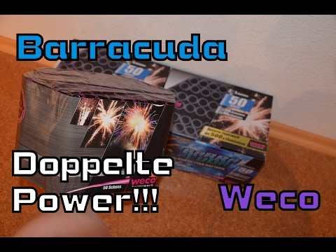 Weco 'Barracuda'|| Doppelte Power!!! || 50 Schuss & 500 Gramm NEM