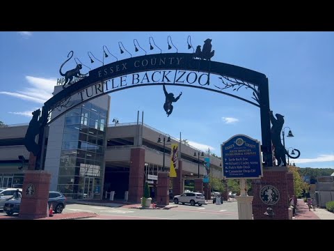 Turtle Back Zoo Feeding Times