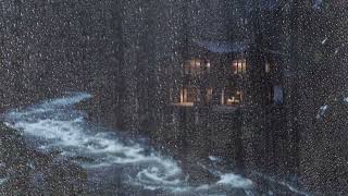 Rainfall on Forest Foliage for Relaxing Sleep, Insomnia, Studying, PTSD