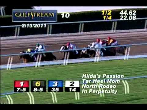 The Hurricane Bertie Stakes