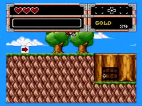 wonderboy in monster world pc controls