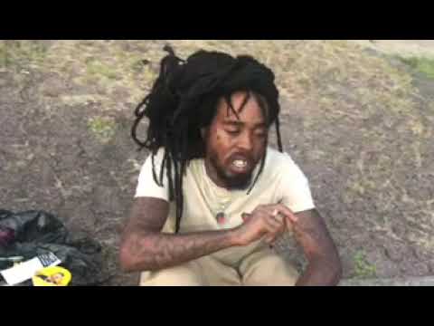 Whild Music Video
