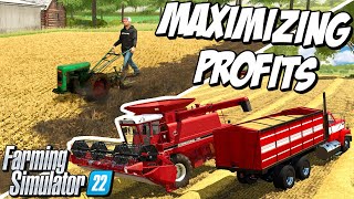 Can We Survive With Only One Field? | Farming Simulator 22