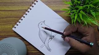 Relaxing Pencil Drawing Video