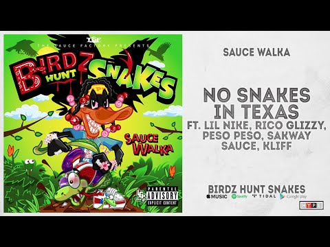 Sauce Walka - "No Snakes in Texas" Ft. Rico Glizzy, Peso Peso, Sakway Sauce (Birdz Hunt Snakes)