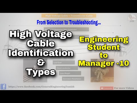 How to become a manager from Student Basics about the Industry