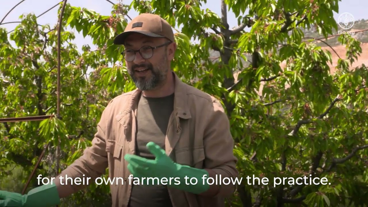 Pesticide management in Turkiye