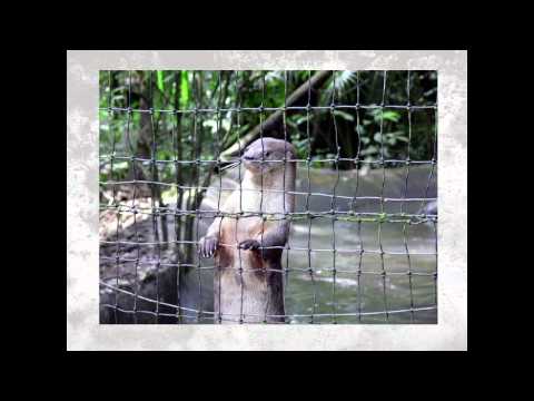 OSCON 2012: Martijn Verburg, "The Greatest Threat to Tech Conferences"