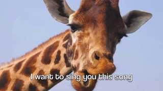 the mrbrown show: the giraffe song