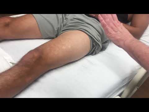 Vastus lateralis identification