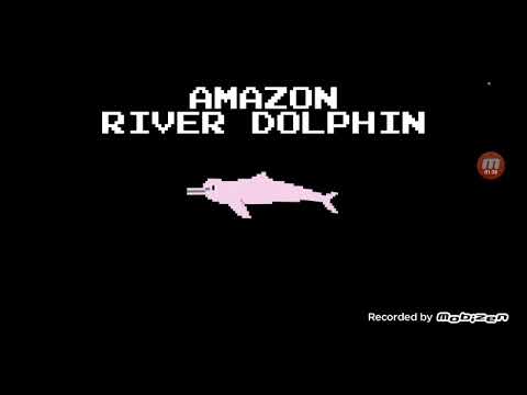 CETACEAN COLLECTION DOLPHINS EPISODE 2