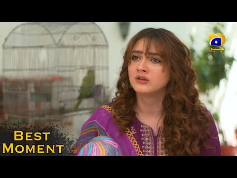 Grift Episode 44 || Ali Abbas - Saniya Shamshad || 𝐁𝐞𝐬𝐭 𝐌𝐨𝐦𝐞𝐧𝐭 𝟎𝟏 || Har Pal Geo