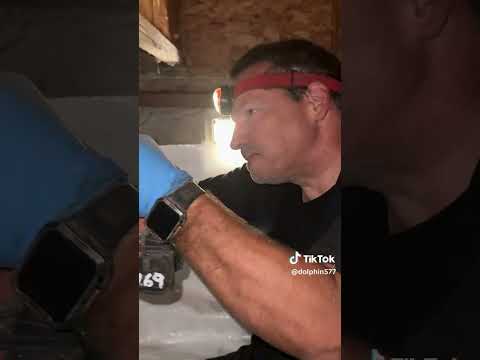 Delfino and his Crew Install an Encapsulation in Salem, OR