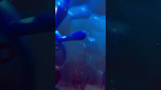 School of Mantyke