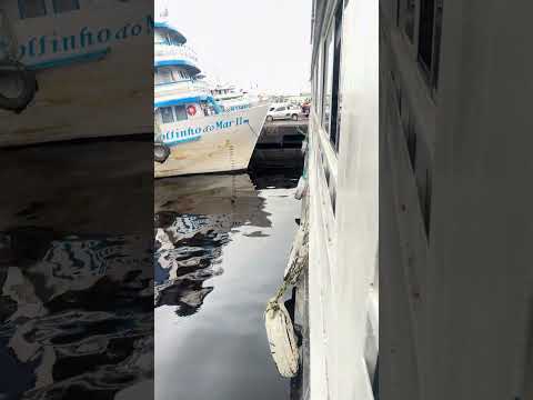 Rio Negro - Manaus Amazonas. Partindo de barco para Tefé