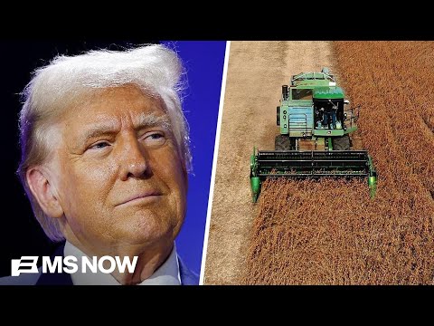Trump admin is 'out of touch' with American farmers: Soybean farmer