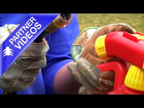  How to Kill Insects in Your Garden with Sevin Insect Killer Ready to Spray Video 