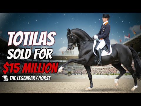 Totilas: Why He Became the Greatest Dressage Horse Ever!