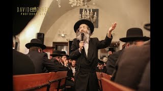 ר' מיילך בידרמן בצפת - שירי התעוררות - Rabbi Elimelech Biderman