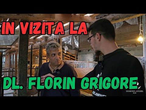In vizita la dl. Florin Grigore ( crescător de cochin)