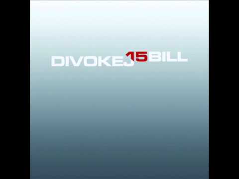 Divokej Bill Dolsin