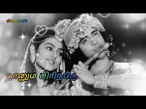 ❤️Nee indri naan illaiye Radha Krishna song❤️