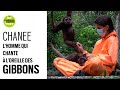 Chanee, l'homme qui chante à l'oreille des gibbons