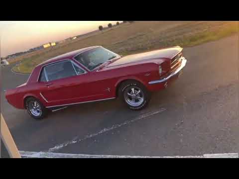 Mustang mit Burnout Syndrom