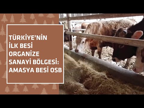 , title : 'Türkiye’nin ilk Tarıma Dayalı İhtisas Besi Organize Sanayi Bölgesi: Amasya Besi OSB'