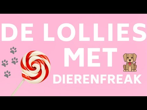 Videoclip De Lollies - Dierenfreak