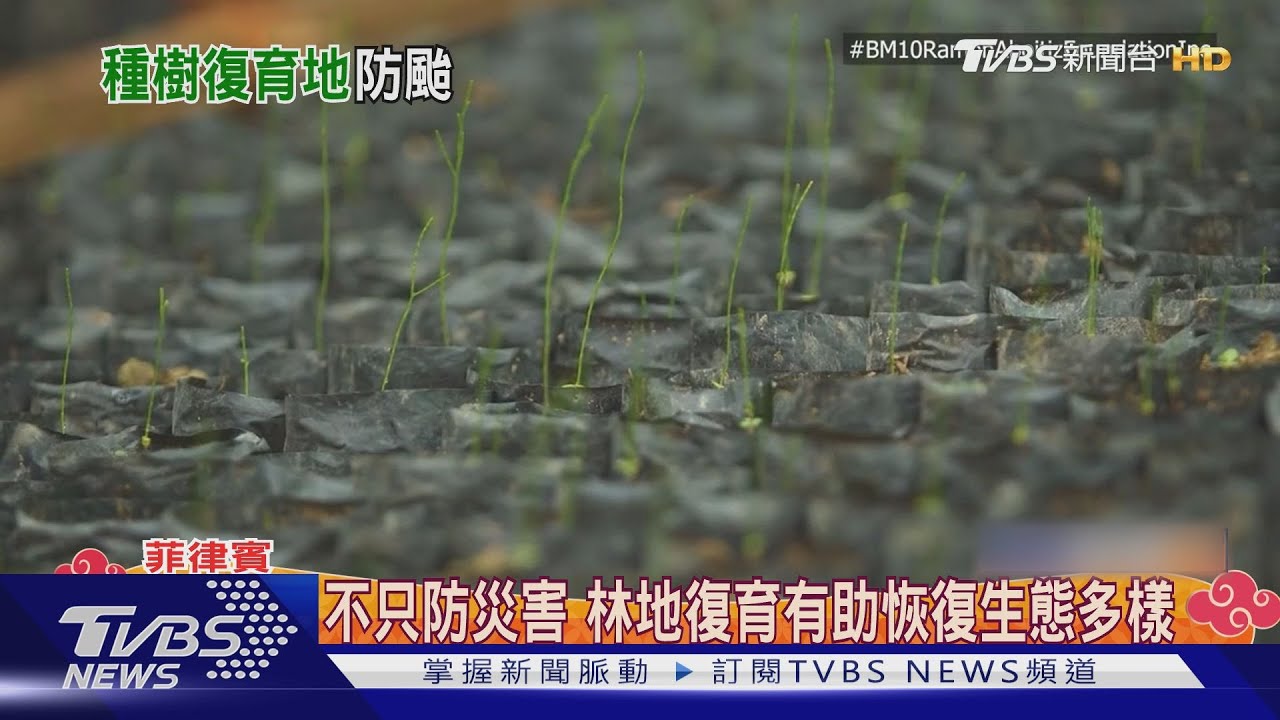 50年林地消失93%！菲律賓復育防颱風災害