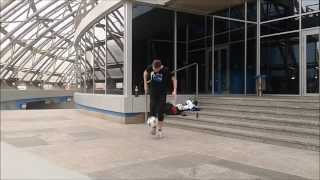 Danielson - individuality 2014