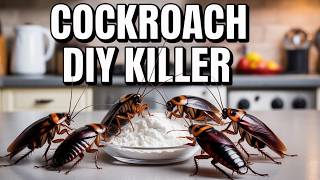 Cockroach Infestation - 3 Ingredient DIY Solution (THAT WORKS!)