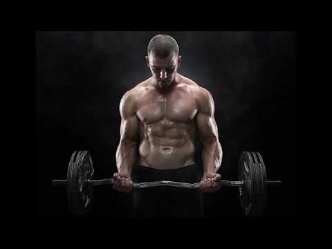 Гимн бабуина. «Будь бабуином, непобедимым!»