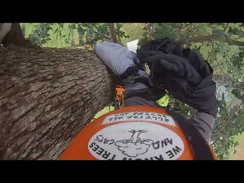 Cat Rescue #54 20180721 Flap Jack Did it Again