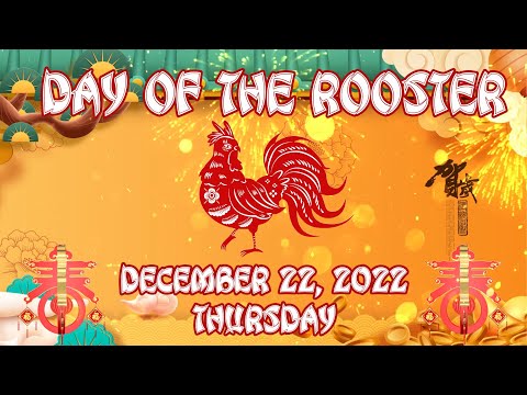 12/22/2022; Thursday, Rooster by TONY SUVEGA