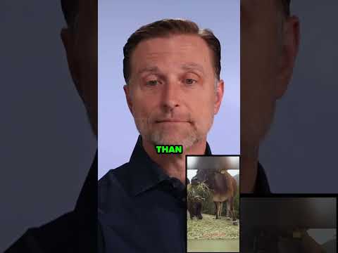 @joerogan is onto something! Plant-based doesn't necessarily guarantee health. #drberg #shorts @joerogan is onto something! Plant-based doesn't necessarily guarantee health. #drberg #shorts